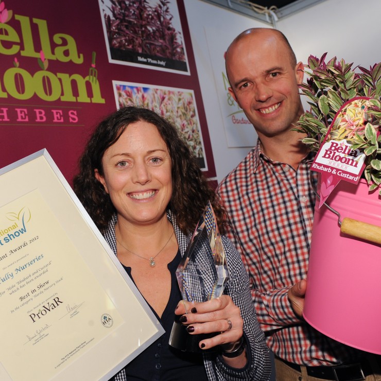Hebe Rhubarb & Custard wins best new plant at the HTA awards 2012