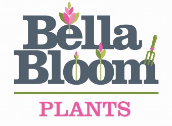 BELLA Bloom logo HR2