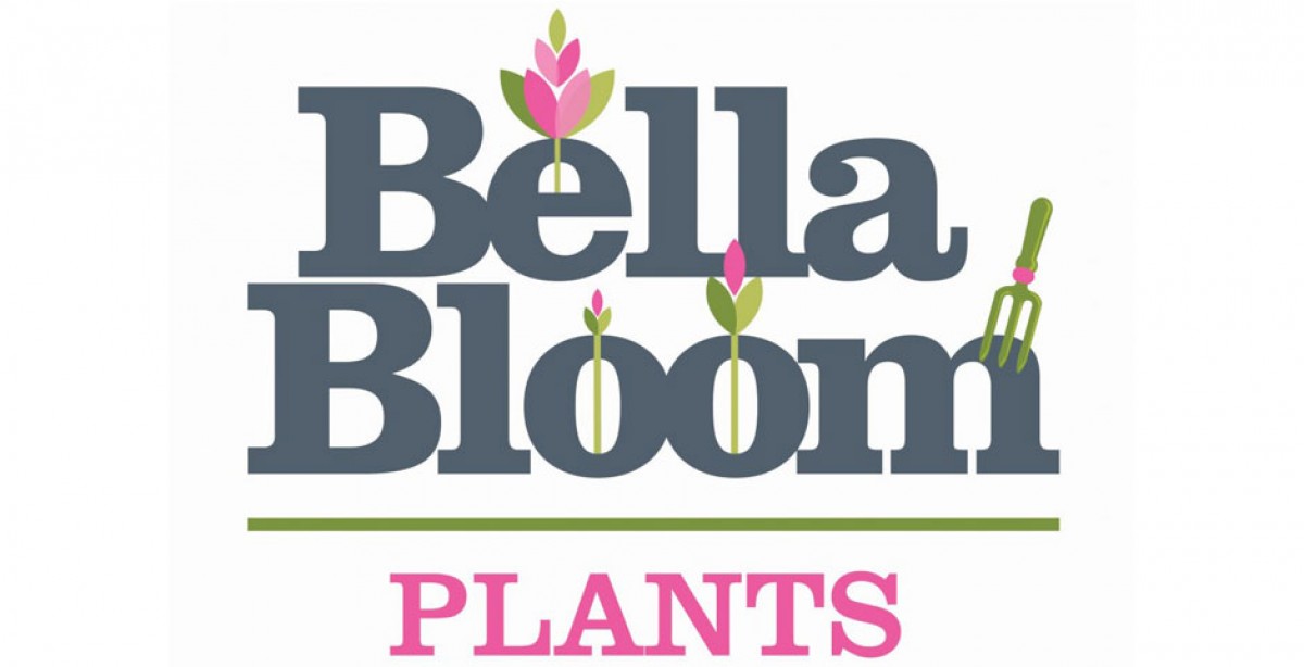 Bella-Bloom. Bloom бренд. Bella Bloom модель. Bella-Bloom записи.